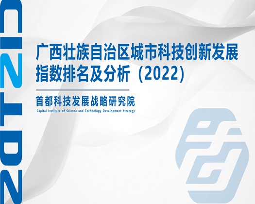 狂操欧美逼【成果发布】广西壮族自治区城市科技创新发展指数排名及分析（2022）